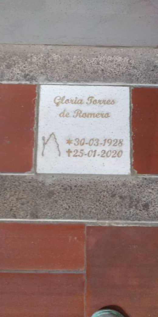 Placa para cenizas
